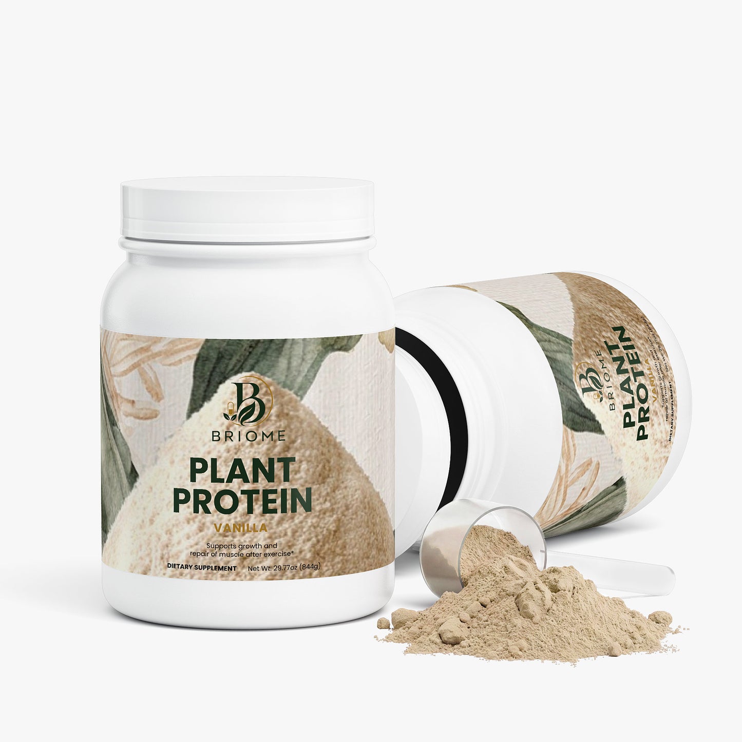 Plant Protein (Vanilla)