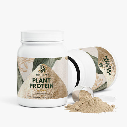 Plant Protein (Vanilla)