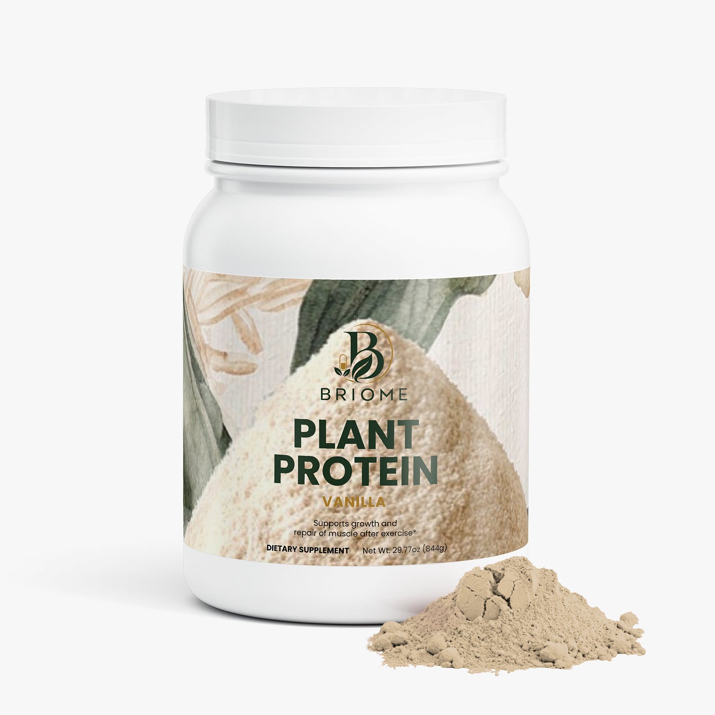 Plant Protein (Vanilla)